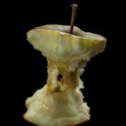 Abgegessener Apfel, Fotografie von Sabine Böck