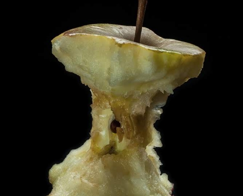 Abgegessener Apfel, Fotografie von Sabine Böck