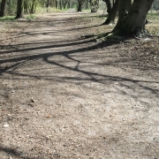 Schatten von Baum, Fotografie von Jörg Fiedler