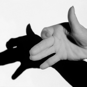 Hand mit Schatten, Fotografie von Sabine Böck