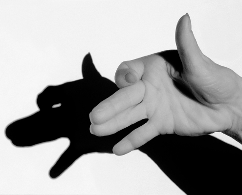 Hand mit Schatten, Fotografie von Sabine Böck