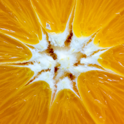 Das Innere einer Orangenscheibe