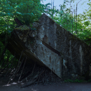 Polen - Wolfsschanze, Fotografie von Giesela Peters