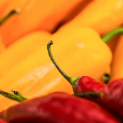 Nahaufnahme von roten Paprika im Vordergrund und gelben im Hintergrund