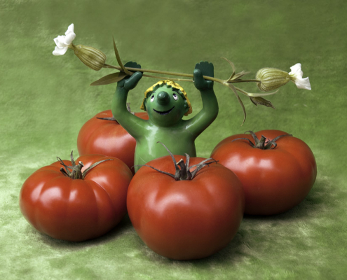 4 Tomaten umringen ein grünes Plastikmännchen, das 2 Leimkrautblüten in den erhobenen Händen hält