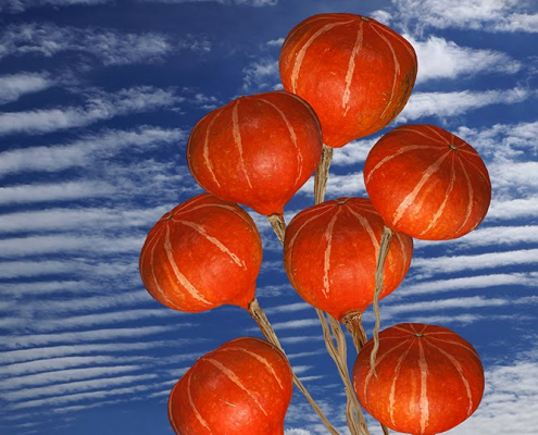 Vor einem blauen Himmel mit weißen Wolken sieht man eine Hand in der 7 Hokkaidokürbisse an Schnüren wie Luftballons in die Höhe gestreckt werden