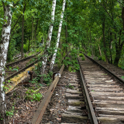 Von Bäumen überwucherte Bahngleise, Fotografie von Sabine Böck