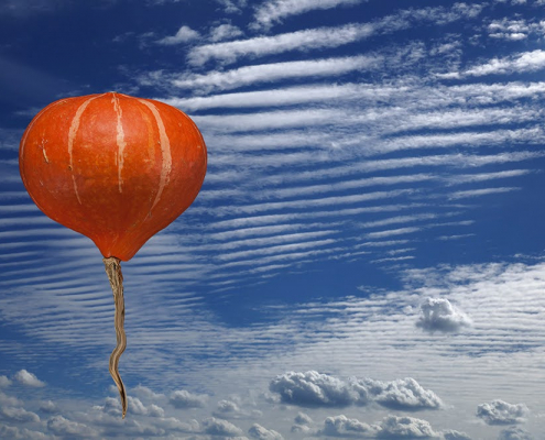 Ein Kürbis schwebt wie ein Ballon am blauen Himmel