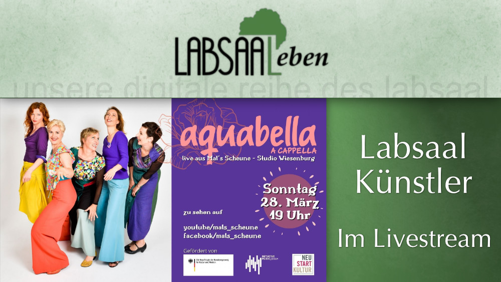 Livestream Plakat der Gruppe Aquabella