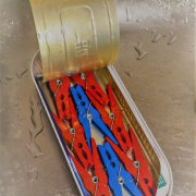 Das hochformatige Foto zeigt vor einem weißen Hintergrund eine geöffnete Fischdose, in der rote und blaue PLastikklammern aufgereiht liegen.