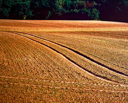 Das querformatige Bild zeigt ein braunes, abgeerntetes Feld am Waldrand