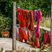Das querformatige Foto zeigt eine Gartensituation mit dichten Büschen. Zwischen zwei Betonpfosten ist eine Wäscheleine gespannt, an der verschiedene rote Kleidungsstücke hängen.