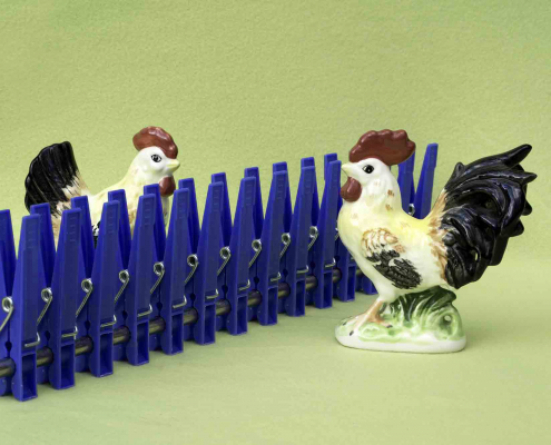 Das querformatige Foto zeigt vor einem hellgrünem Hintergrund bilden 13 stehende, blaue Plastikklammern einen Zaun. AUf jeder Seite des Zaunes stehen als Porzellanfiguren ein Hahn und eine Henne.