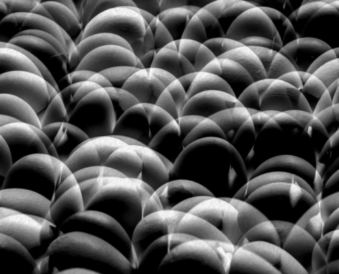 Das querformatige schwarzweiß Foto zeigt ein Durcheinander von Kreisbögen und in verschiedenen Graustufen gefüllte Kreissegmente.