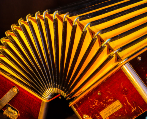 Das querformatige Foto zeigt eine aufgezogene Zieharmonika in Nahaufnahme.