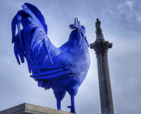Das querformatige Foto zeigt einen blauen Hahn.