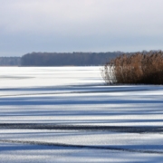 Das querformatige Foto zeigt einen zugefrorenen, schneebedeckten See. Die Sonne wirft Schatten auf den Schnee, am rechten Ufer steht braunes Schilf.