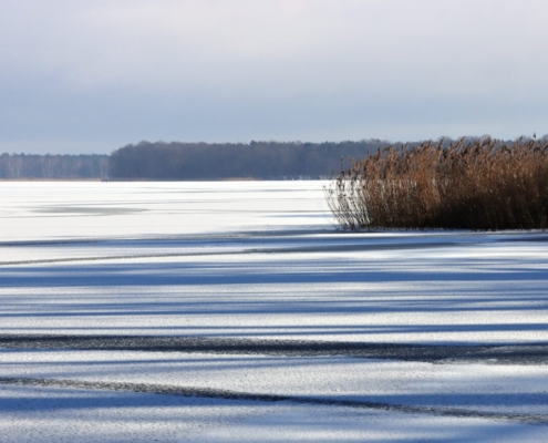 Das querformatige Foto zeigt einen zugefrorenen, schneebedeckten See. Die Sonne wirft Schatten auf den Schnee, am rechten Ufer steht braunes Schilf.