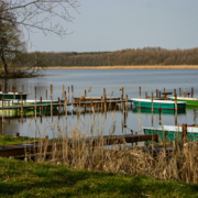 Das querformatige Foto zeigt das Ufer eines Sees mit Bootssteg und Ruderbooten.