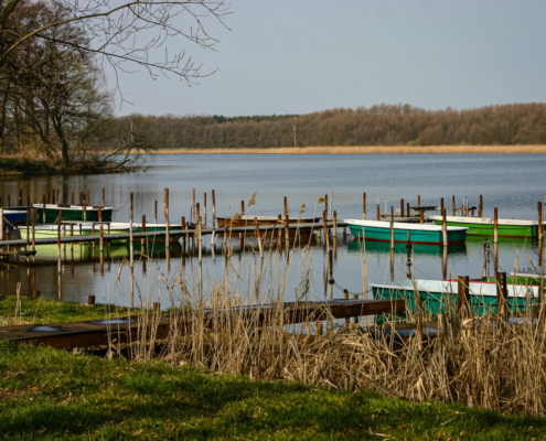 Das querformatige Foto zeigt das Ufer eines Sees mit Bootssteg und Ruderbooten.