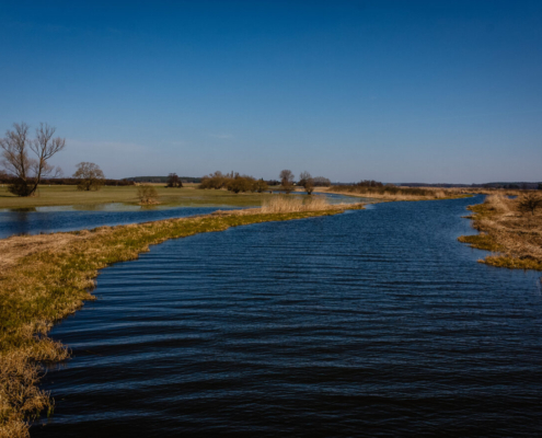 Das querformatige Foto zeigt zeigt einen Flusslauf mit den Überschwemmungsgebieten rechts und links des Ufers.