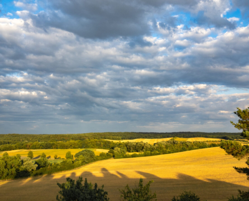 Das querformatige Foto zeigt einen Blick über eine hügelige Landschaft mit gelben Feldern.