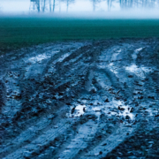 Das hochformatige Bild zeigt im Vordergrund eine durch Regen aufgeweichte Traktorspur und im Hintergrund in Nebel gehüllte Bäume ohne Blätter.