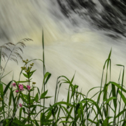 Das querformatige Foto zeigt eine Langzeitaufnahme eines Wasserfalls, an dessen Rand Wiesengräser stehen.