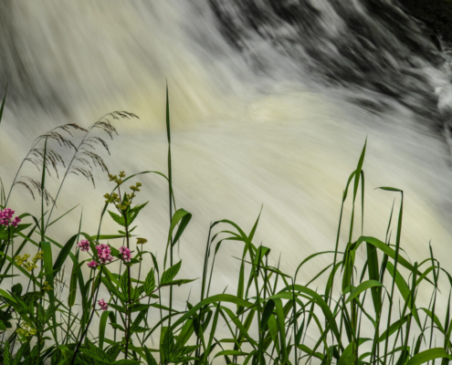 Das querformatige Foto zeigt eine Langzeitaufnahme eines Wasserfalls, an dessen Rand Wiesengräser stehen.