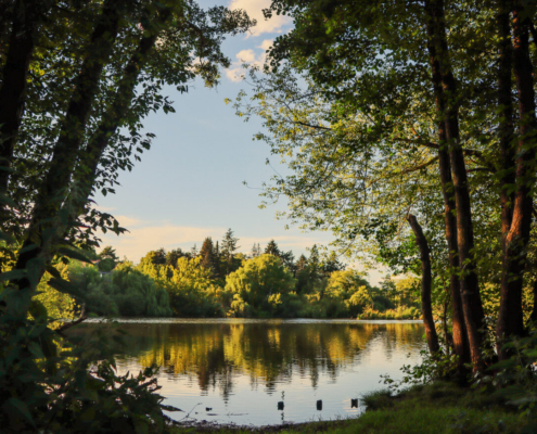 Das querformatige Foto zeigt einen Durchblick durch zwei Bäume auf einen See.