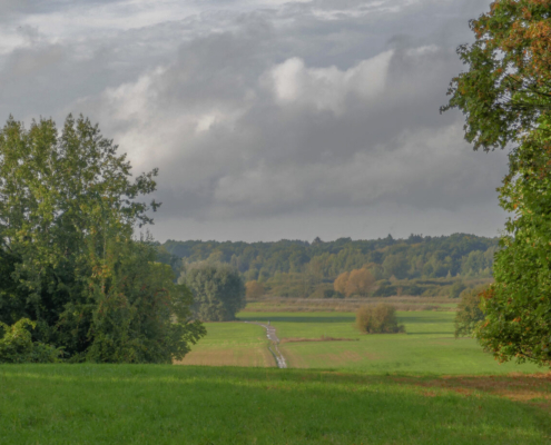 Das querformatige Foto zeigt eine Wiesenlandschaft, die von Bäumen umgeben ist.