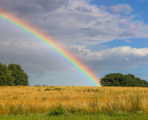 Das querformatige Foto zeigt einen Ausschnitt eines Regenbogens über einem Getreidefeld.