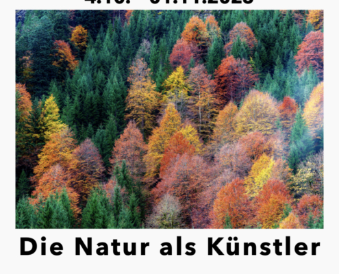 Plakat Natur als Künstler