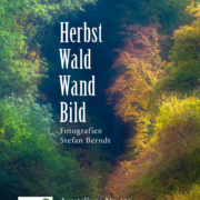 Plakat Herbst, Wald, Wand, Bild