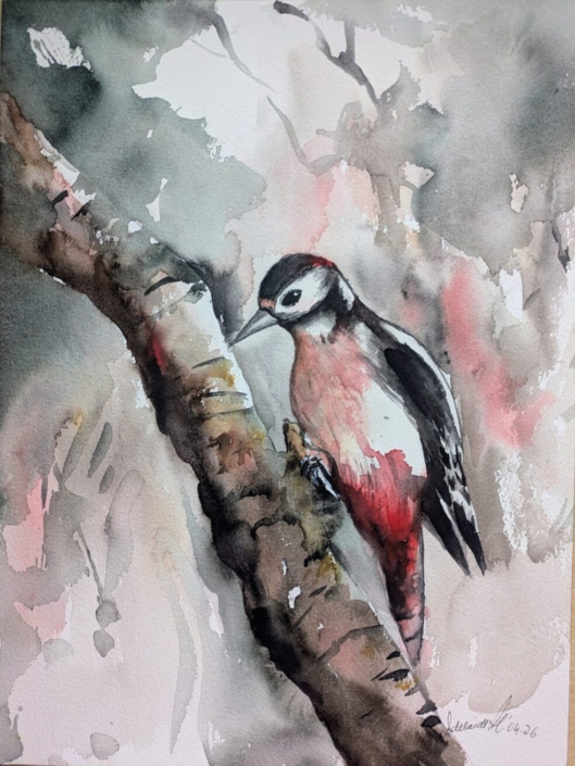 Specht, Aquarell von Adeleide Holle, 40 cm x 50 cm, 145€ o.R., 175€ m.R.