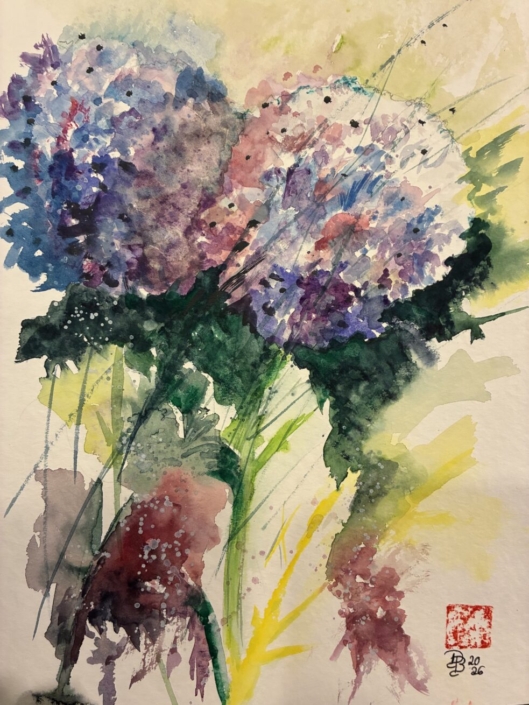 Hortensien, Aquarell von Dagmar Berenberg, 40cm x 50cm, 80€ o.R., 110€ m.R., dagmar.berenberg@gmx.de