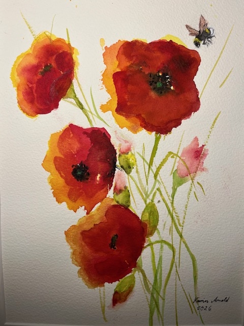 Mohnblumen und Hummel, Aquarell von Karin Arnold, 40cm x 50cm, 120€ o.R., 150€ m.R.