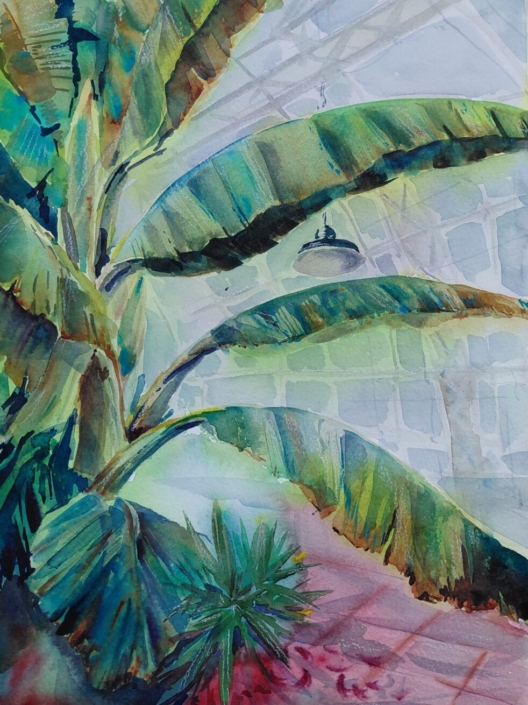Palmenhaus, Aquarell von Katharina Bergander, 40cm x 50cm, 150€ o.R., 180€ m.R.